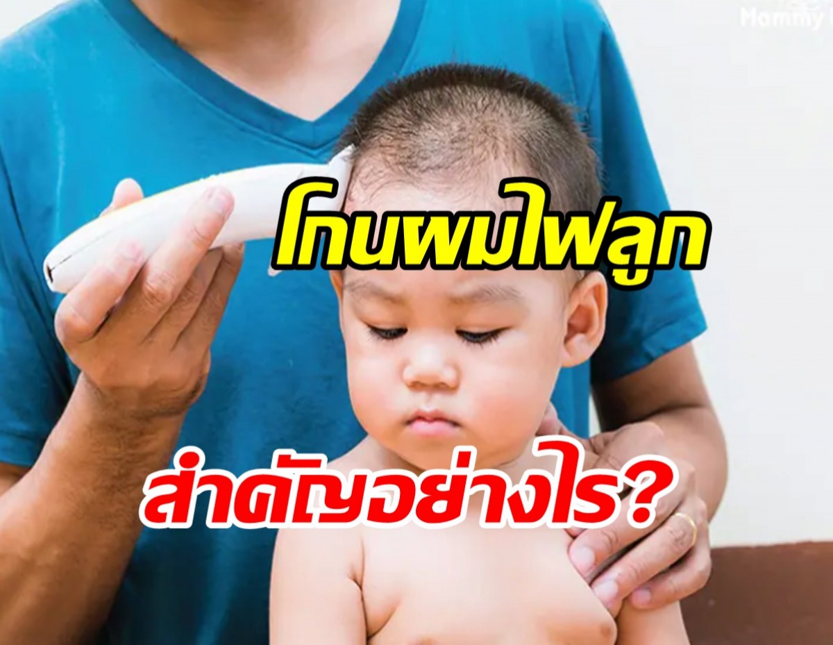 โกนผมไฟวันไหนได้บ้าง 2567 เสริมดวงครอบครัว