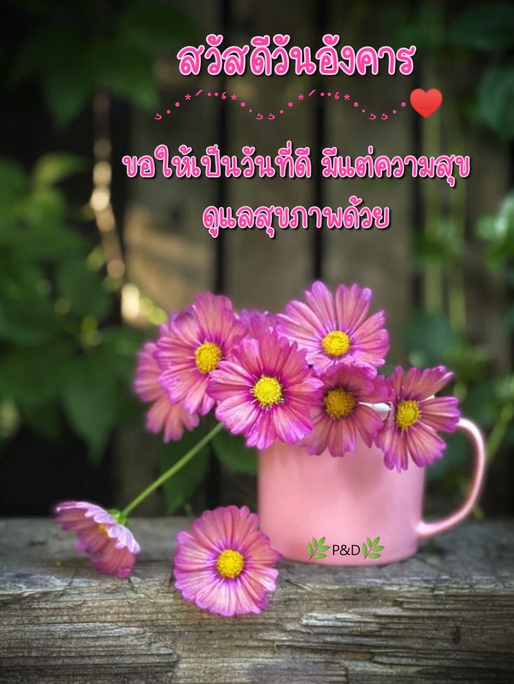 คลอดวันไหนดีที่สุดพฤษภาคม 2568 เสริมดวงรุ่งตลอดปี โชคดี สุขี